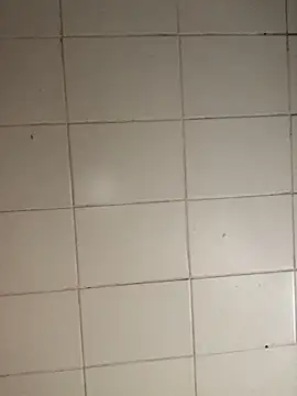 Novinhodotadomg online show from November 5, 8:09 pm