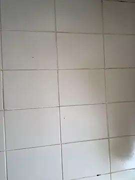 Novinhodotadomg online show from November 6, 1:45 pm