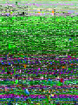 Novinhodotadomg online show from November 15, 7:43 pm