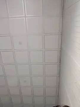 onao7 online show from April 3, 3:37 am