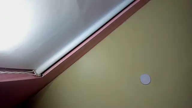 Snapshot of StarletTays chatting on November 28, 9:50 pm StarletTays online show from November 28, 9:50 pm