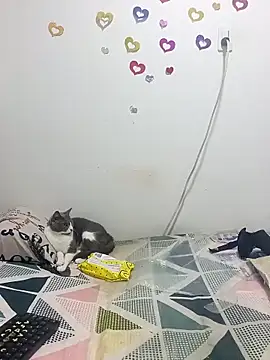 Snapshot of tany90 chatting on October 31, 11:17 pm tany90 online show from October 31, 11:17 pm