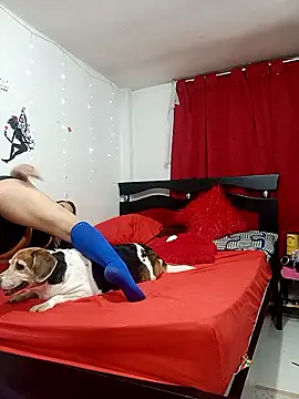 Snapshot of Lady_16 chatting on February 13, 4:30 am Lady 16 online show from February 13, 4:30 am