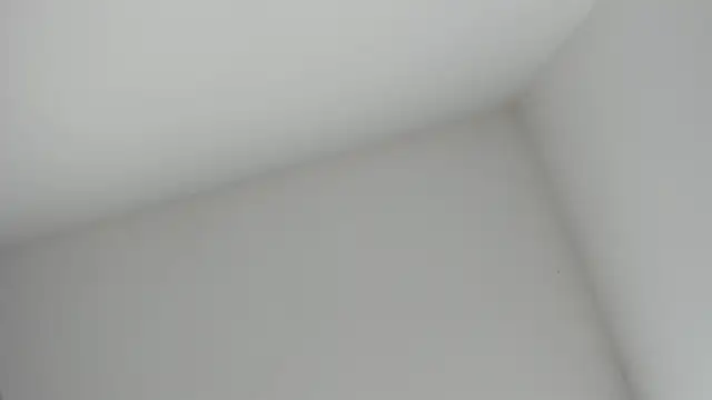 Snapshot of VioletRose_as chatting on November 16, 8:36 pm VioletRose as online show from November 16, 8:36 pm