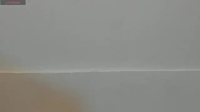 VioletRose as online show from February 11, 8:03 pm