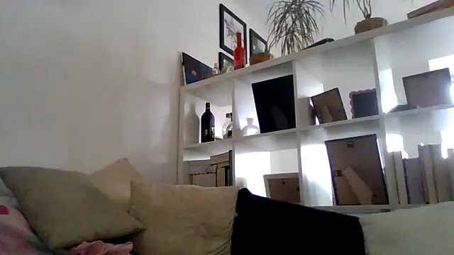 Snapshot of bigcockjohnxxxxx chatting on November 11, 12:49 pm bigcockjohnxxxxx online show from November 11, 12:49 pm