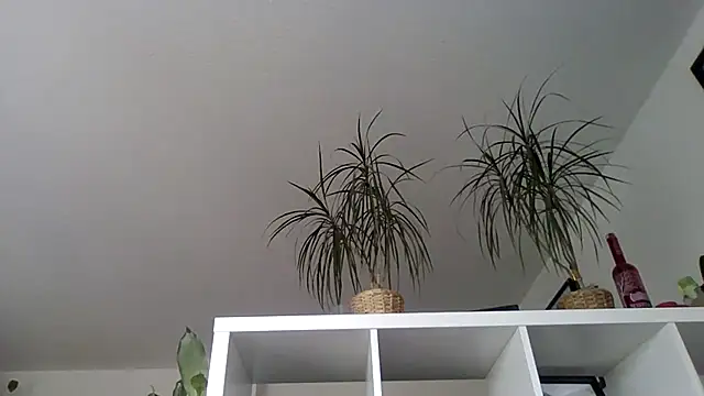 Snapshot of bigcockjohnxxxxx chatting on November 13, 11:20 am bigcockjohnxxxxx online show from November 13, 11:20 am