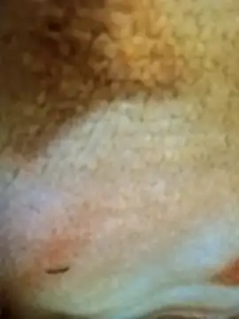 Snapshot of HOT-MUNDA chatting on December 17, 1:33 am HOT-MUNDA online show from December 17, 1:33 am