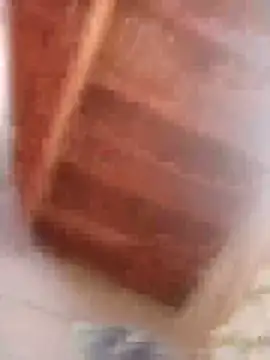 HOT-MUNDA online show from February 9, 9:02 am