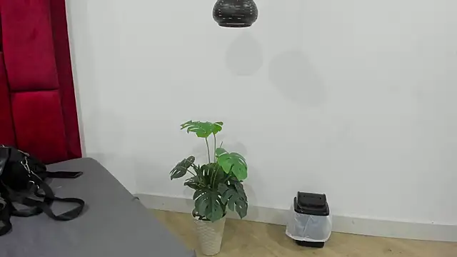 Snapshot of Mollyxketa1_ chatting on October 2, 11:23 pm Mollyxketa1 online show from October 2, 11:23 pm