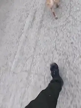 Axelitoc online show from March 5, 6:09 am