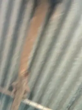 Snapshot of Hot-ilaiy chatting on September 9, 2:33 am Hot-ilaiy online show from September 9, 2:33 am