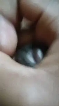 Snapshot of Vizgeboys chatting on December 2, 6:03 pm Vizgeboys online show from December 2, 6:03 pm