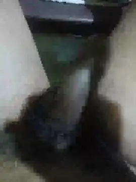 Snapshot of Vizgeboys chatting on February 28, 9:43 am Vizgeboys online show from February 28, 9:43 am