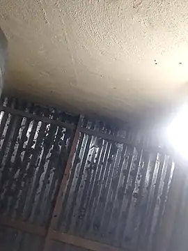 shebeshid online show from April 13, 5:07 pm