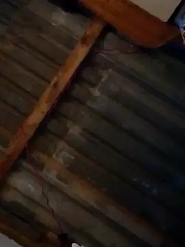 LUISSLEONN0958 online show from September 25, 9:02 am