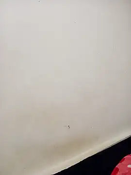 Dani 34velan online show from October 6, 3:15 am