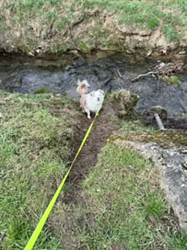 OliviaaFischer online show from March 12, 1:39 pm