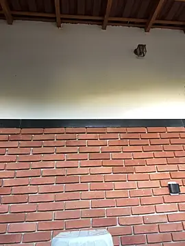 Snapshot of Dunot__ chatting on December 21, 9:16 am Dunot online show from December 21, 9:16 am