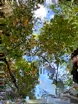 Snapshot of Mexxwell69 chatting on September 14, 3:11 pm Mexxwell69 online show from September 14, 3:11 pm