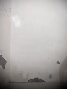 sassyy poonam online show from October 11, 8:13 am