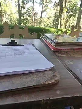 Snapshot of BasicGoal96 chatting on November 5, 8:14 am BasicGoal96 online show from November 5, 8:14 am