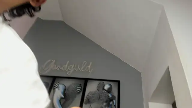 camillo virgil online show from October 14, 10:49 am