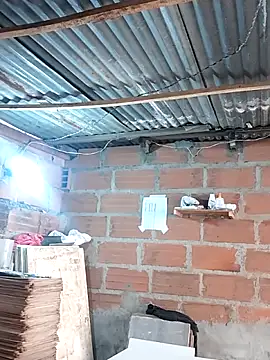 hoteder online show from December 17, 1:28 pm