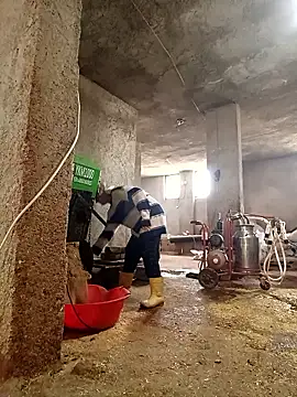 ezgi2545 online show from March 6, 7:27 am