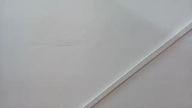 Lizbeth Rouse online show from October 26, 12:55 pm