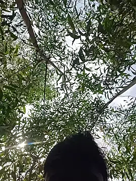 96Rohon online show from March 21, 6:18 am