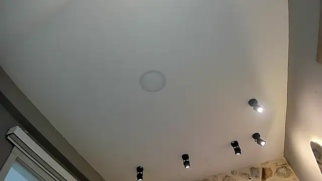 VenusBlazer online show from February 14, 7:10 pm