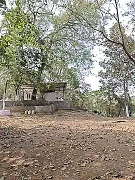 yung cplz online show from February 7, 7:34 am