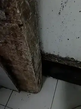 69siuol online show from October 24, 6:26 pm