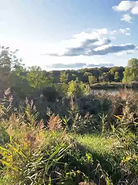 FavoriteKira online show from September 20, 2:07 pm