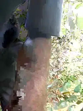 kavi1q1 online show from January 17, 4:39 am