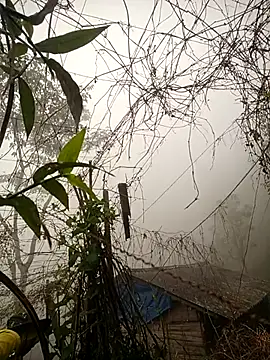 quynhkoolbae online show from February 28, 12:44 am