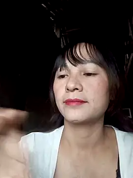 Snapshot of Mini3333 chatting on November 11, 12:54 am Mini3333 online show from November 11, 12:54 am