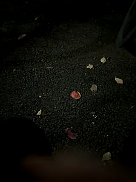 rinne0110 online show from November 5, 1:11 pm