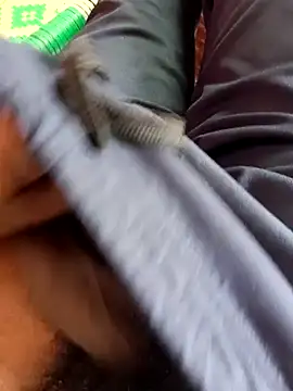 dolphiinn online show from November 20, 5:18 am