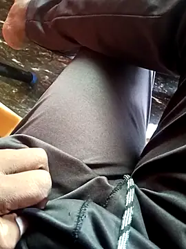 dolphiinn online show from November 26, 2:12 am