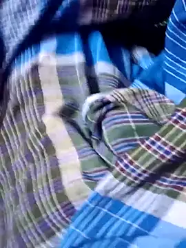 dolphiinn online show from December 19, 2:02 pm