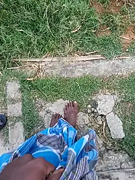 dolphiinn online show from January 12, 1:33 am