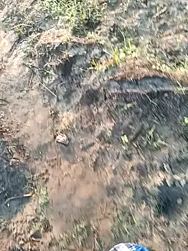 dolphiinn online show from March 6, 1:35 am