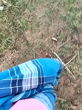 dolphiinn online show from March 20, 2:05 am