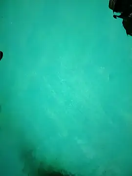 Snapshot of Arti13A chatting on January 17, 3:17 pm Arti13A online show from January 17, 3:17 pm