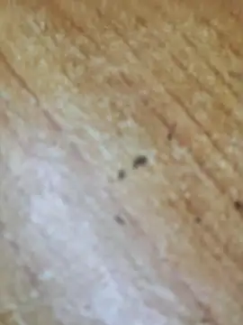 Markroco696 online show from October 6, 3:09 pm