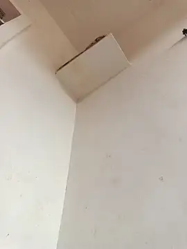 Snapshot of Dikchahot chatting on November 11, 10:26 am Dikchahot online show from November 11, 10:26 am