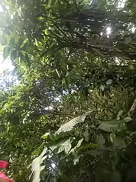 Snapshot of dulcelatin21 chatting on November 25, 7:58 pm dulcelatin21 online show from November 25, 7:58 pm