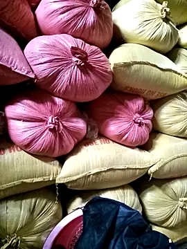 Sa2mh20 online show from December 17, 2:39 am